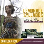 The Lemonade Syllabi